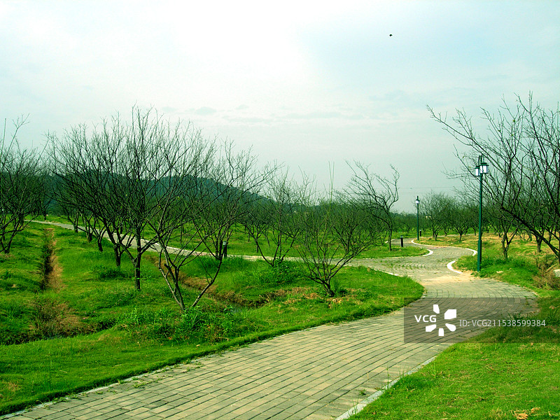 户外风情摄影作品图片素材