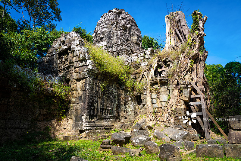 柬埔寨塔逊寺中的树包塔景观图片素材