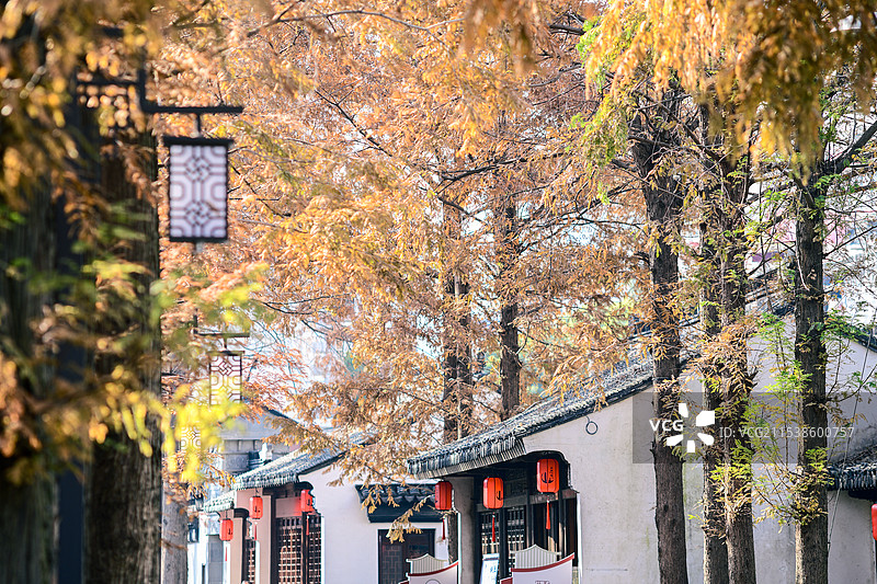 南翔老街秋色图片素材