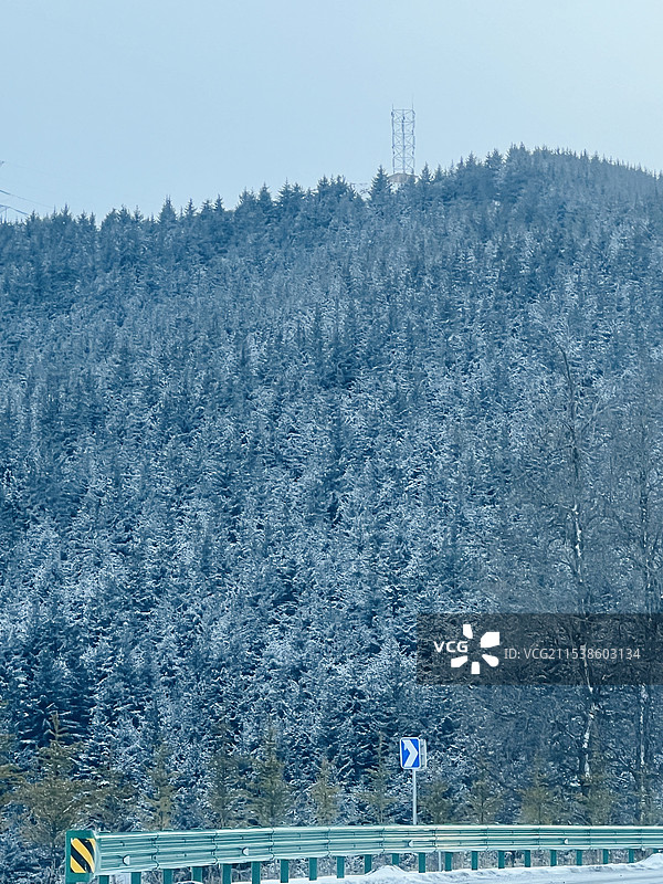 右转雪后森林图片素材