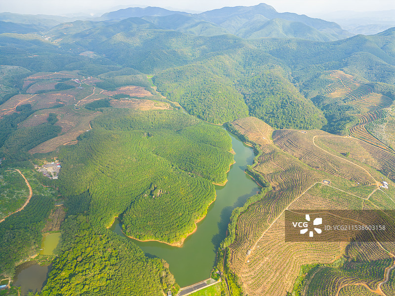 航拍蜿蜒水库与绿色梯田图片素材