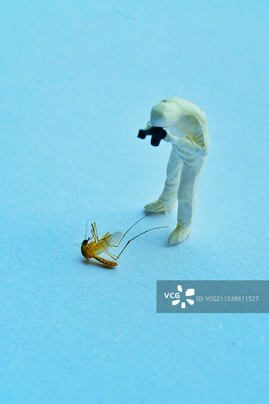 微缩景观。微距特写。夏天的蚊子和拍照的专业人士图片素材