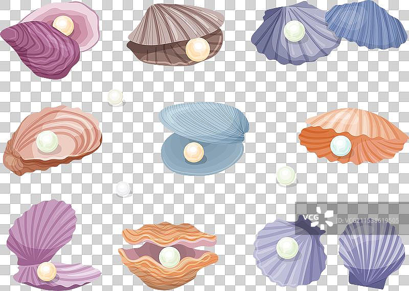 海洋贝壳中的天然奢华珍珠图片素材