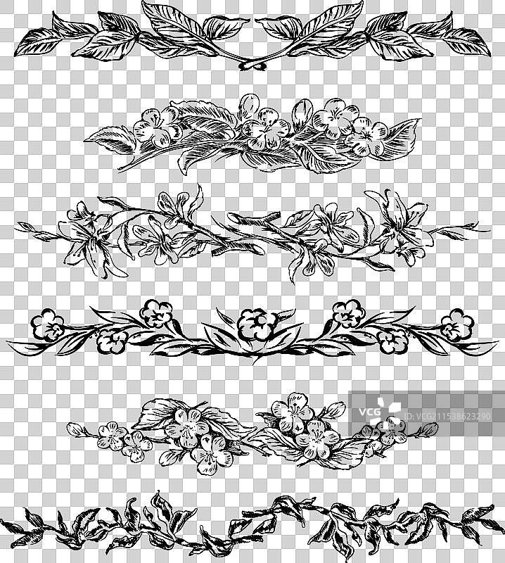 复古花卉页面分隔符图片素材