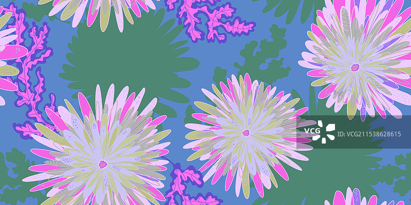 菊花、紫菀、抽象幻想花卉图片素材