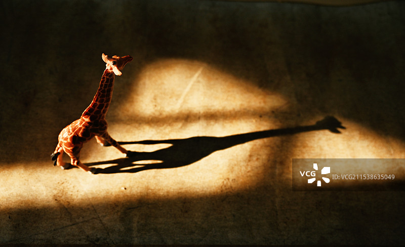 鹿光角影图片素材