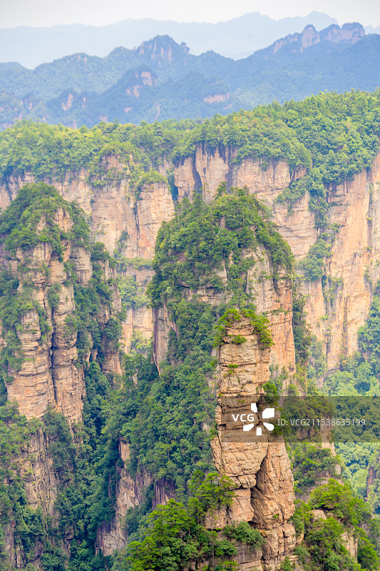 中国湖南张家界景区奇特山峰与茂密森林图片素材