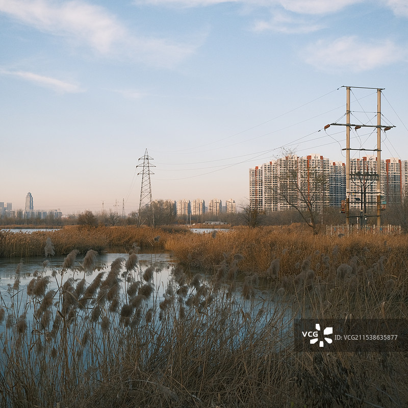 天津师范大学的湖畔图片素材