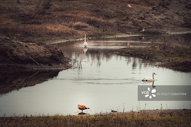 你来我往图片素材