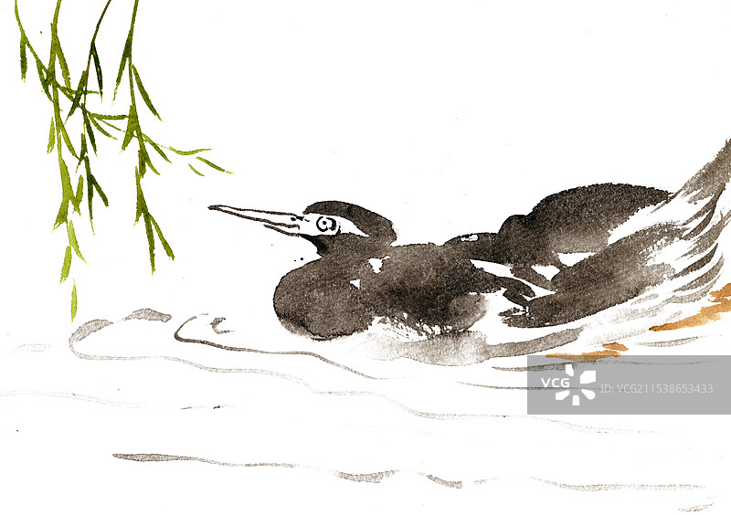 柳枝下的水鸟图片素材