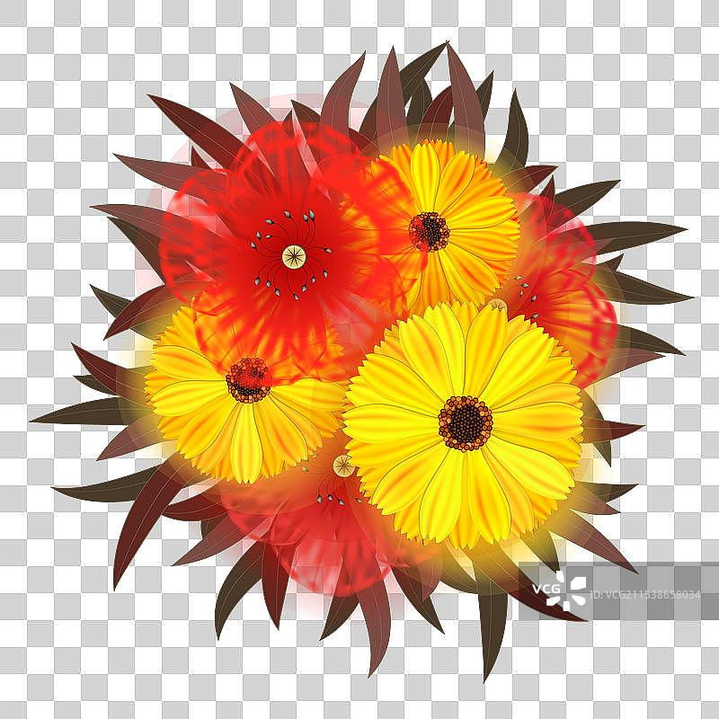 夏季花卉图片素材