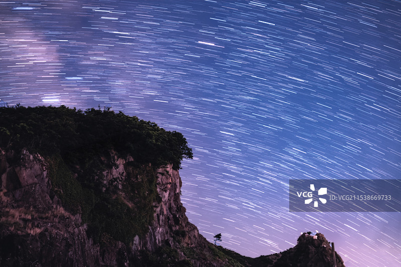 舟山六横岛夜间树木对天的低角度视图图片素材