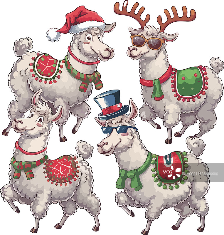 四只穿着打扮的快乐美洲驼图片素材