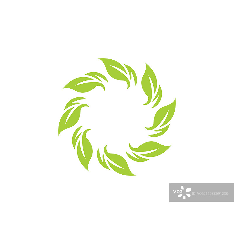 绿色叶子以螺旋形排列图片素材