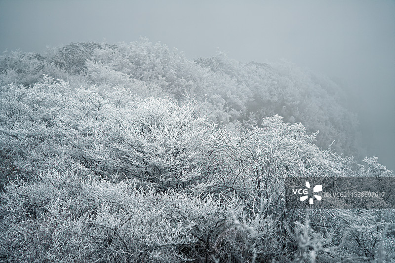 重庆刀背梁雾凇风景图片素材