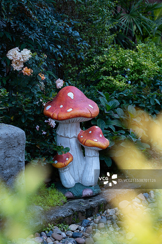 小院风景图片素材