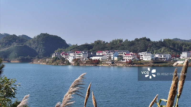 杭州千岛湖森林氧吧图片素材