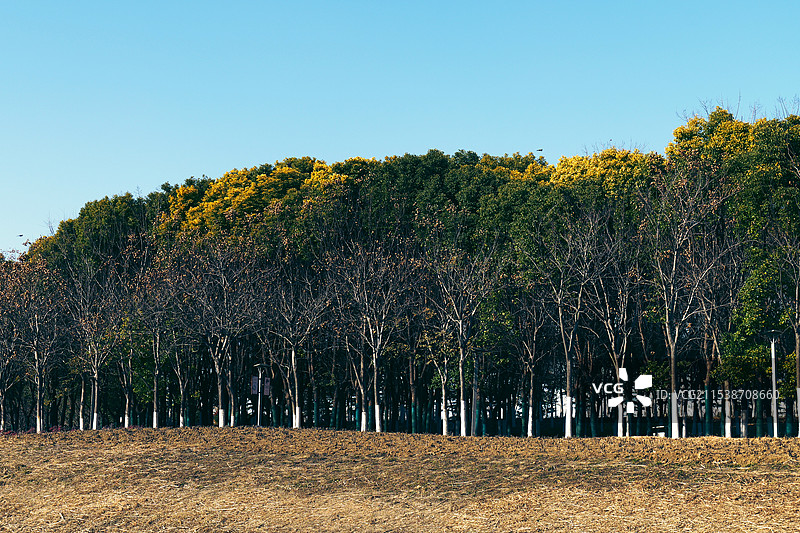 宿州新汴河景区图片素材