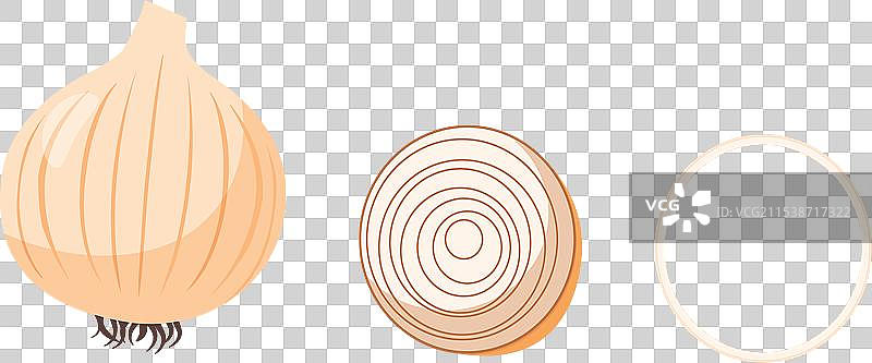 卡通风格的洋葱图案图片素材