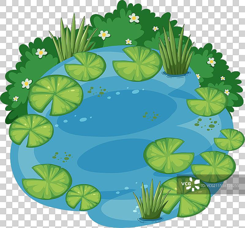 宁静的花园池塘图片素材