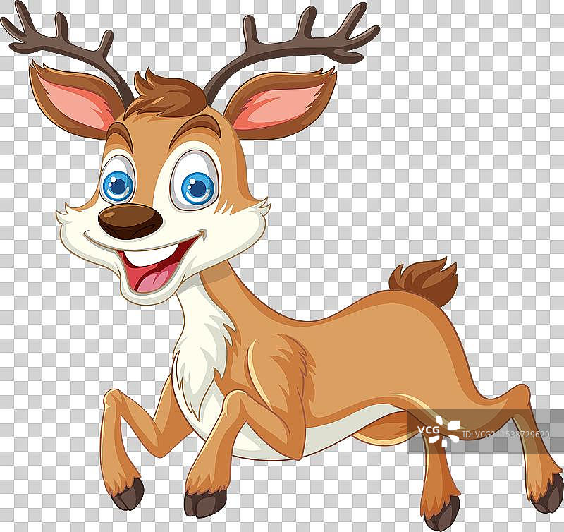 一只快乐顽皮的小鹿在图片素材