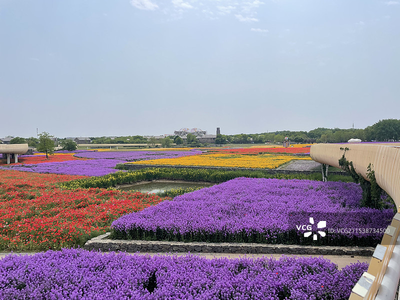 宿迁三台山国家森林公园花海图片素材