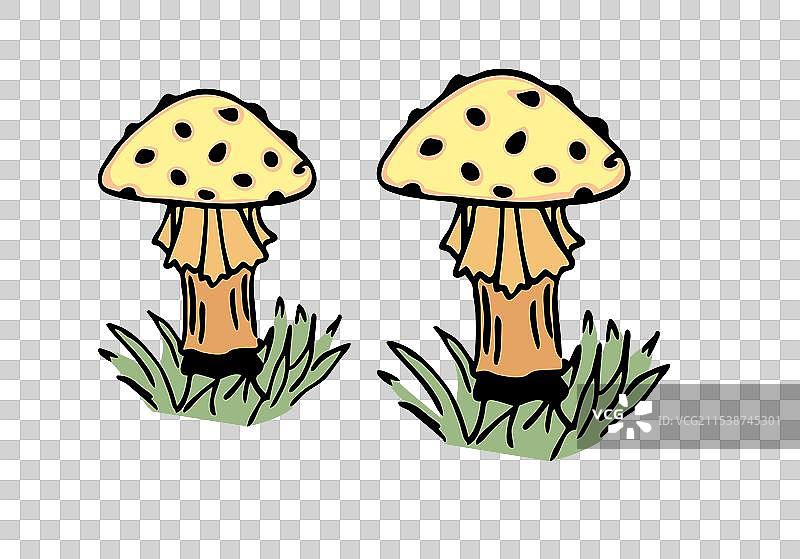 菌菇类免扣素材图片素材