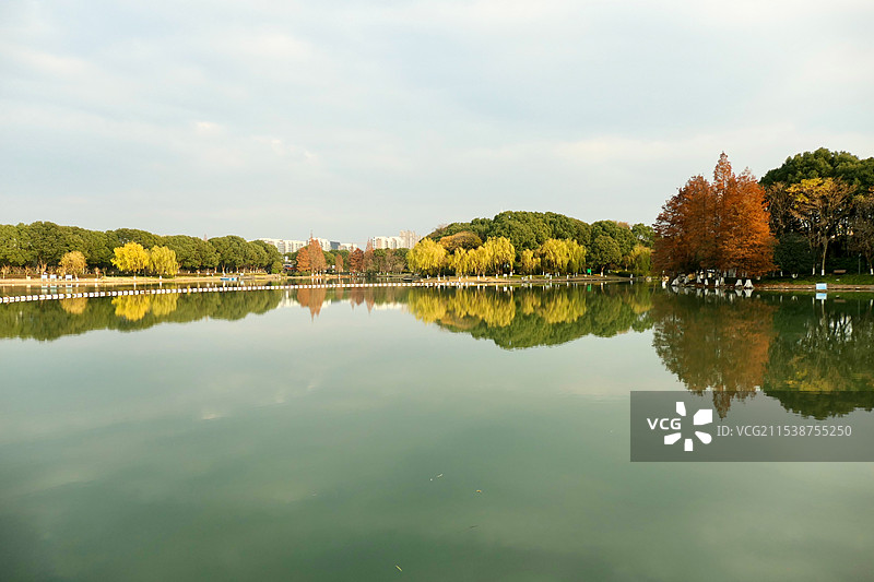 上海青浦都市风光，夏阳湖绿地图片素材