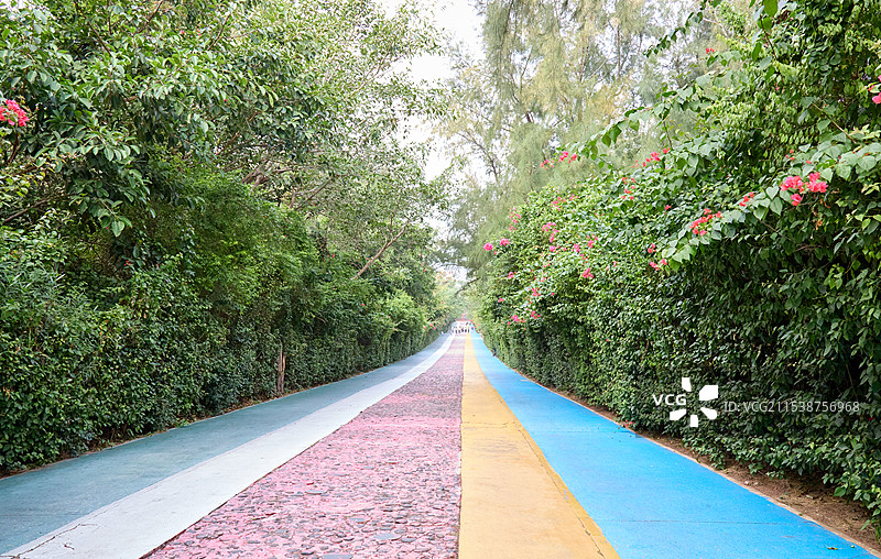 漳州白塘湾火山公园景区内道路图片素材