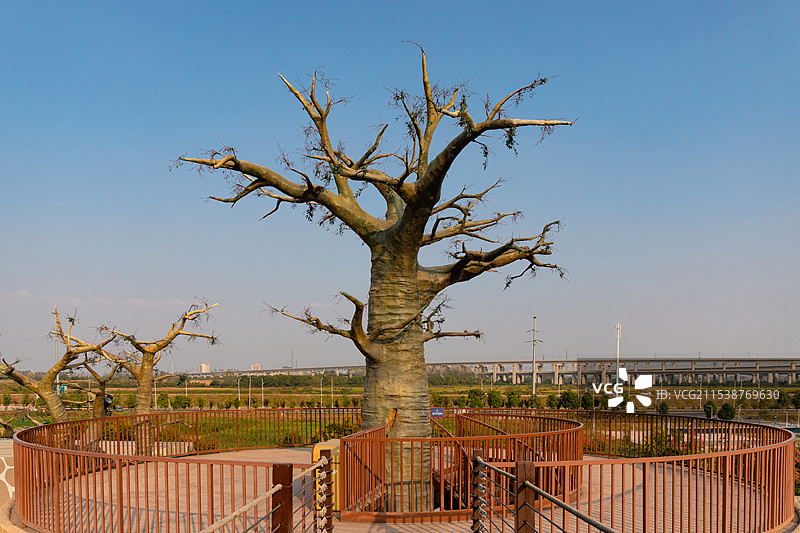 旅行日期图片素材