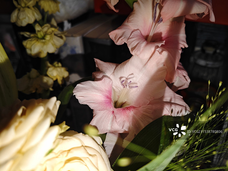 礼物  那天的夕阳图片素材