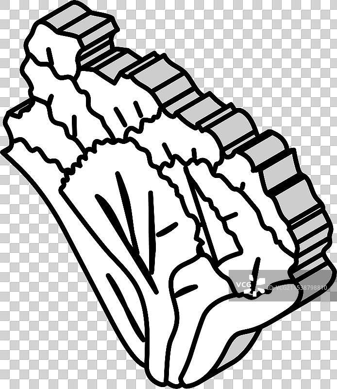 菊苣沙拉食品等距图标图片素材