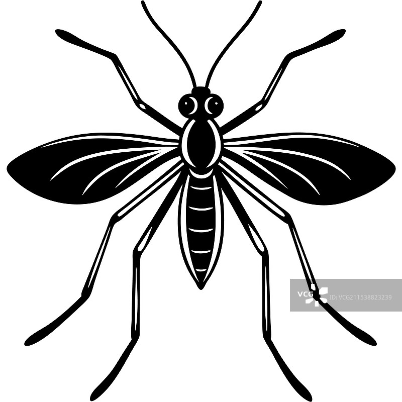 水黾昆虫平躺在白色背景上图片素材