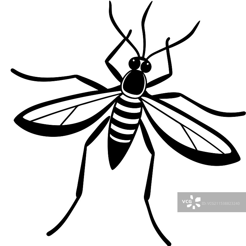 水黾昆虫平躺在白色背景上图片素材