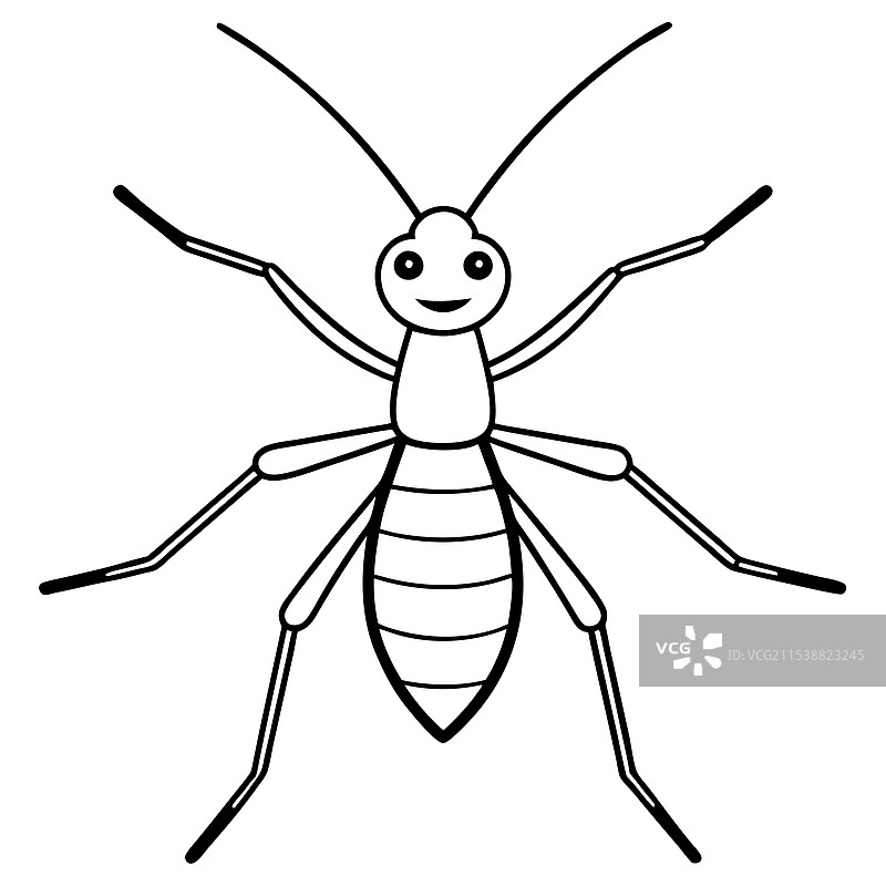 水黾昆虫平躺在白色背景上图片素材