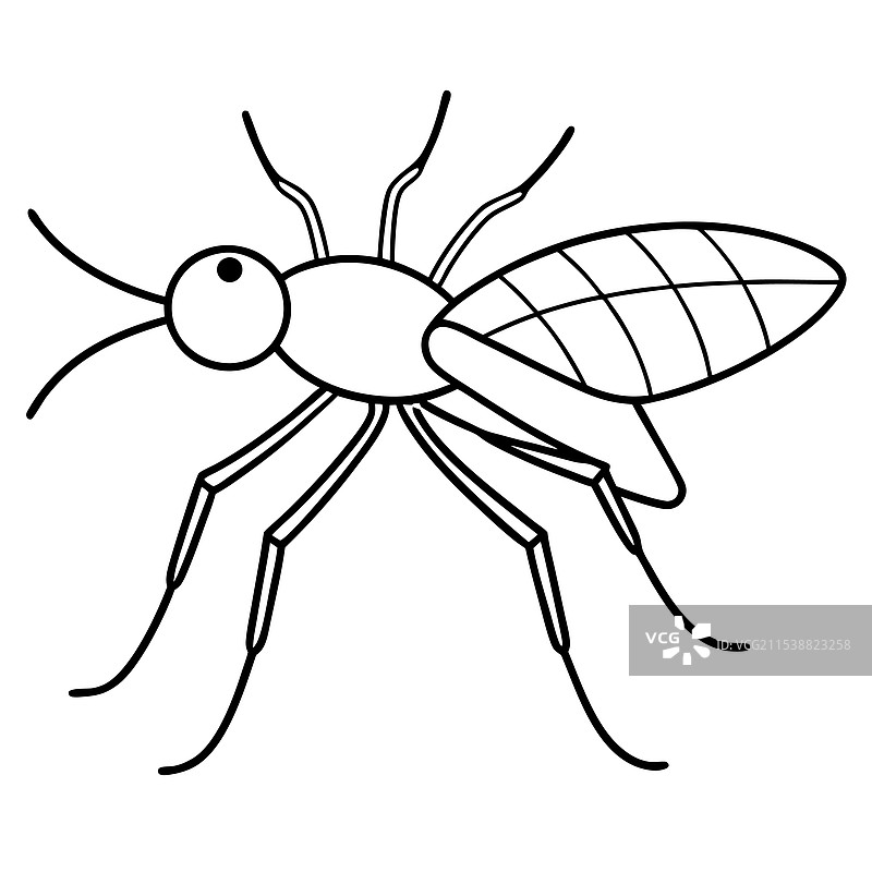 水黾昆虫平躺在白色背景上图片素材
