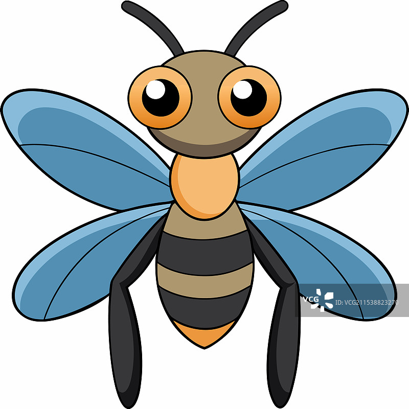 水黾昆虫平躺在白色背景上图片素材