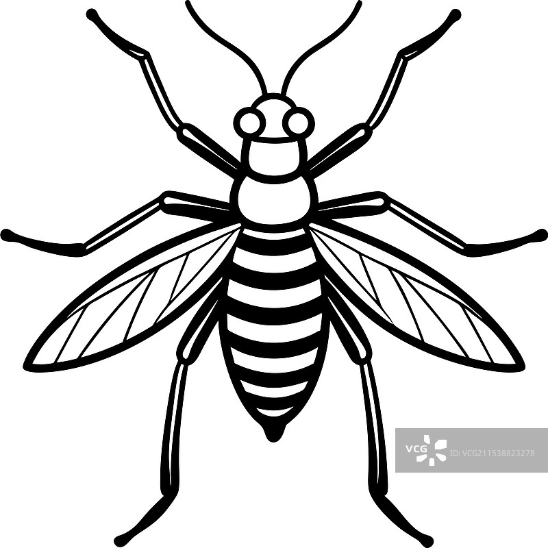 水黾昆虫平躺在白色背景上图片素材