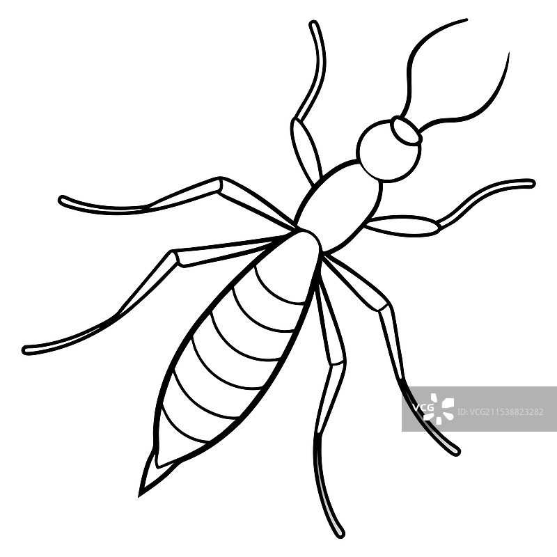 水黾昆虫平躺在白色背景上图片素材