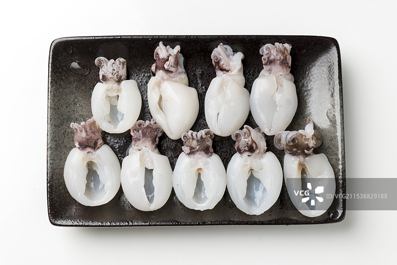 墨鱼仔图片素材