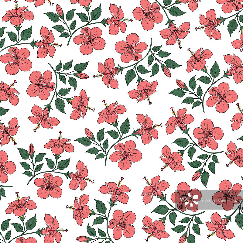 无缝热带木槿花图案图片素材