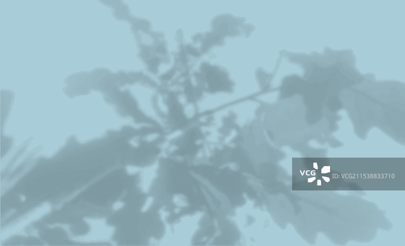 花叶在蓝色墙壁上的阴影图片素材