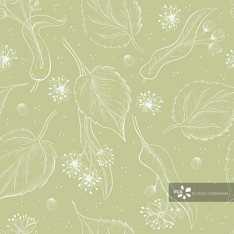 手绘的菩提花无缝图案图片素材