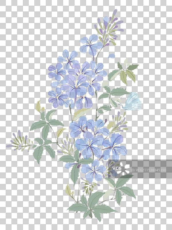 国画水墨蓝雪花花卉植物素材图片素材