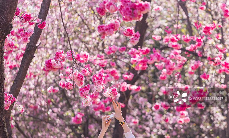 昆明市圆通山图片素材