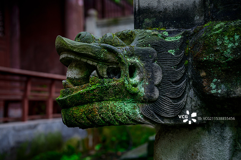石雕龙头特写图片素材