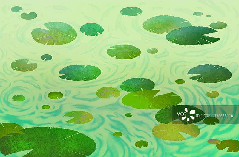 绿色荷叶背景图片素材