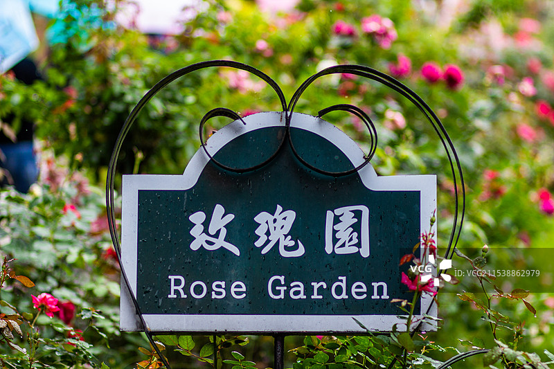 台北故宫 玫瑰园图片素材