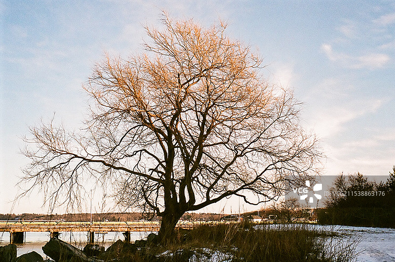美国缅因州波特兰冬季景色图片素材