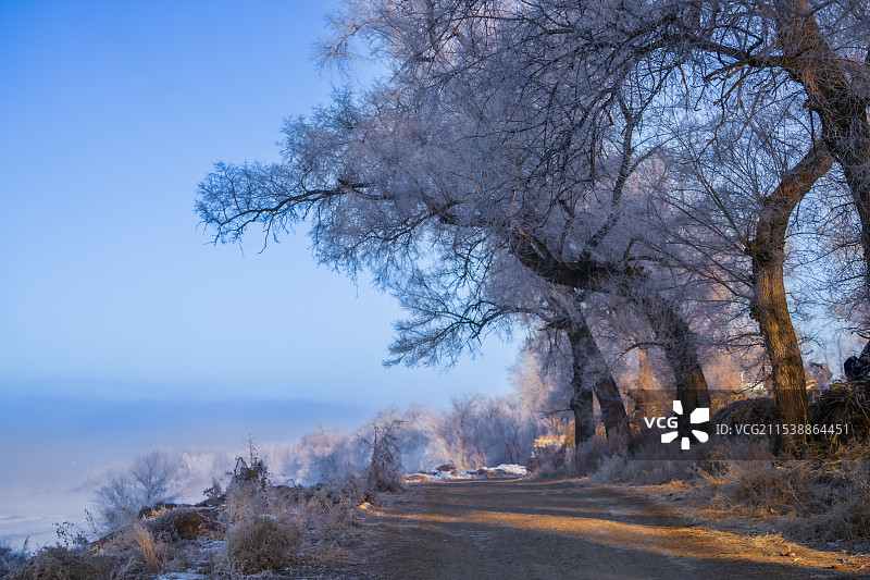 雾松～吉林雾凇岛图片素材